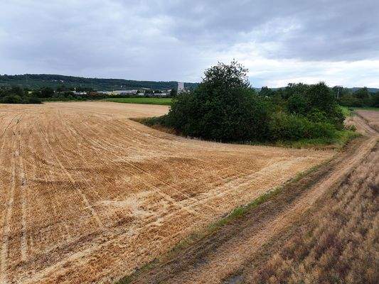 Blick auf den Acker