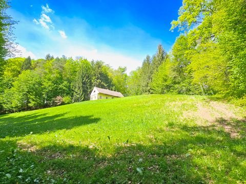 Ehrenhausen Renditeobjekte, Mehrfamilienhäuser, Geschäftshäuser, Kapitalanlage