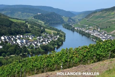 Zell (Mosel) Grundstücke, Zell (Mosel) Grundstück kaufen