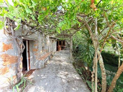 Rocchetta Nervina Häuser, Rocchetta Nervina Haus kaufen