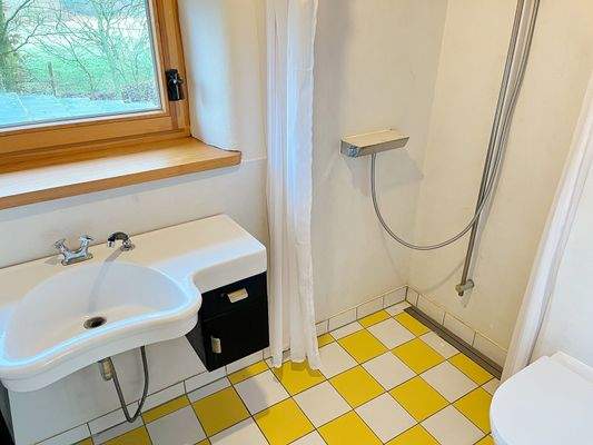 Tageslicht-Duschbad im OG