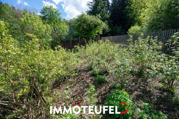 Hier können Sie fleißig anbauen