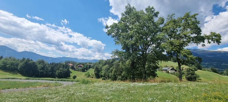 Ausblick Grundstück