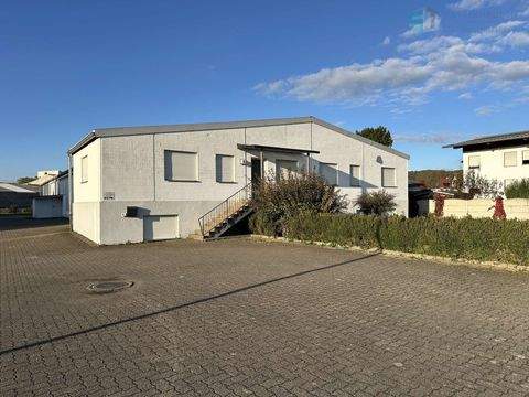 Emmendingen Halle, Emmendingen Hallenfläche