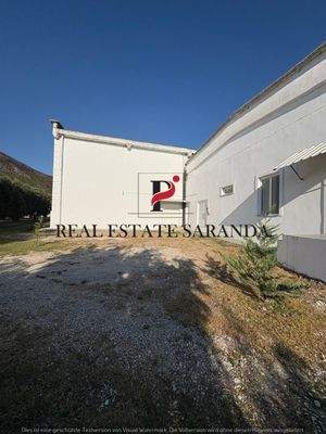 WhatsApp Image 2025-08-27 at 18.00.35.jpeg