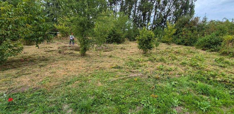 Grundstücksfoto_05