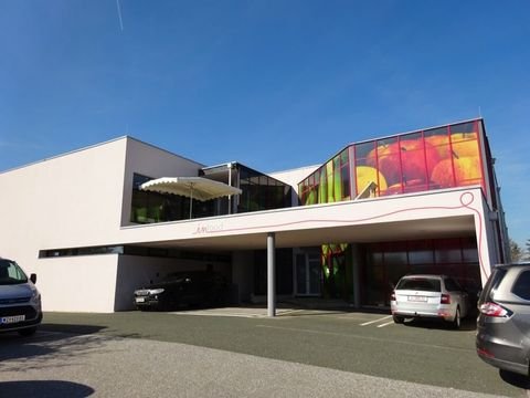 Gleisdorf Halle, Gleisdorf Hallenfläche