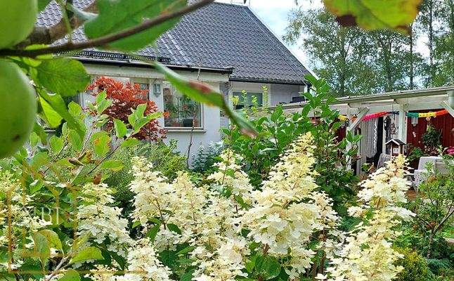 Garten im Sommer