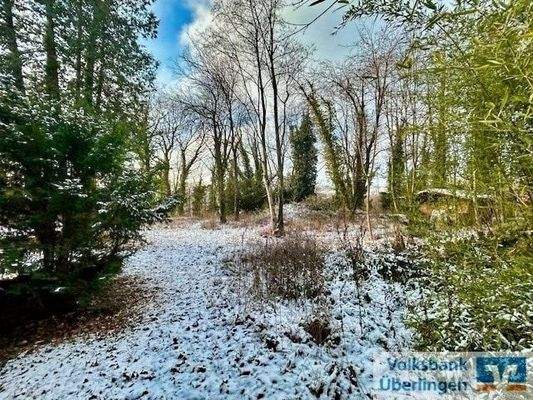 Ansicht Flurstück Bild 1