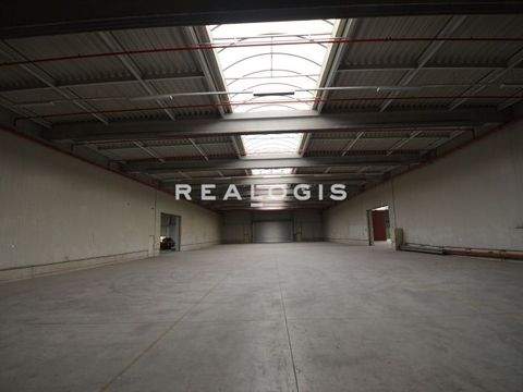 Stahnsdorf Halle, Stahnsdorf Hallenfläche