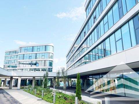 Linz Büros, Büroräume, Büroflächen 