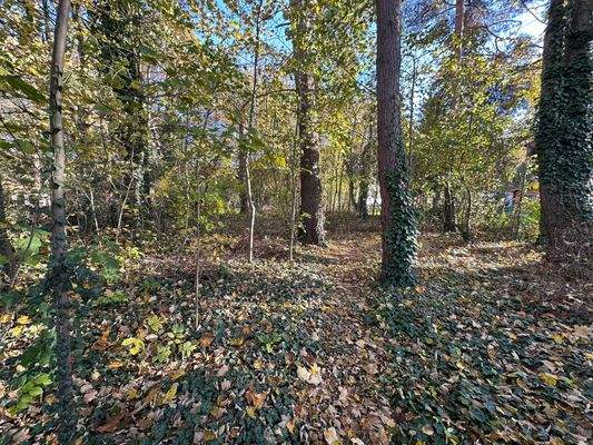 Tiefe des Grundstücks.jpeg