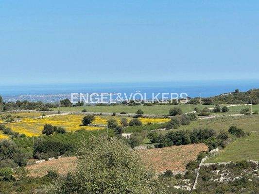 WhatsApp Image 2025-07-16 at 11.28.17 (1).jpg