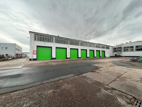 Erfurt Halle, Erfurt Hallenfläche