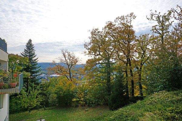 Ausblick Zimmer 2 bis zum Lainzer Tiergarten