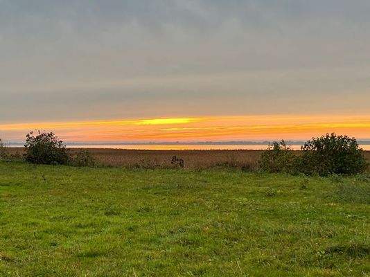 Abendsonne in Nisdorf 