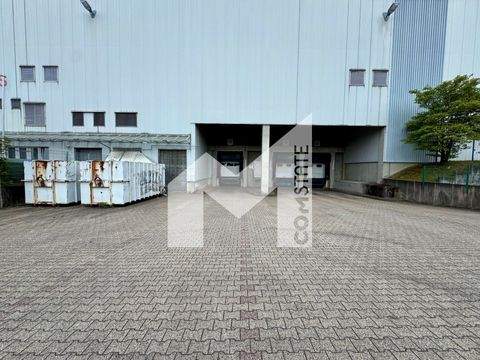 Solingen Halle, Solingen Hallenfläche