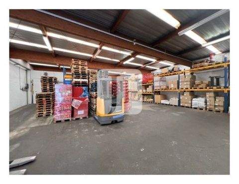 Hamburg Halle, Hamburg Hallenfläche