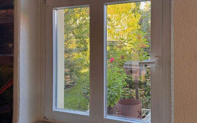 Blick aus dem Fenster EG