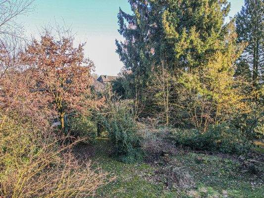 Bilder vom Grundstück