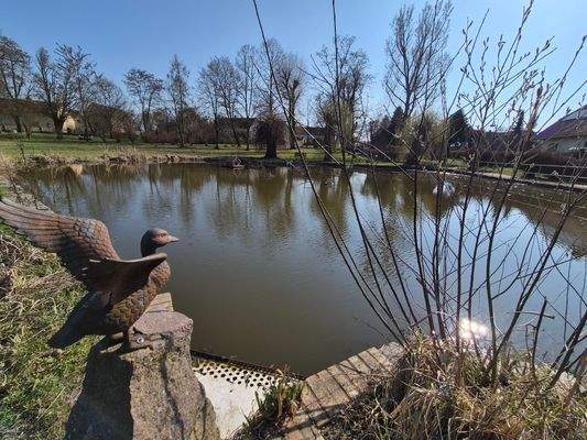 Dorfteich in der Nähe
