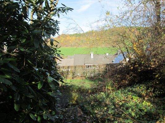 IMG_4247 - Kopie.JPG