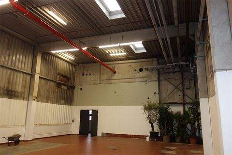 Berlin Halle, Berlin Hallenfläche