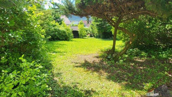 20240530_105320_resized