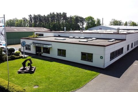 Hövelhof Halle, Hövelhof Hallenfläche