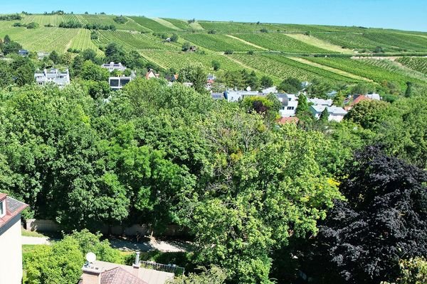 Drohnenaufnahme mit Nussberg im Hintergrund