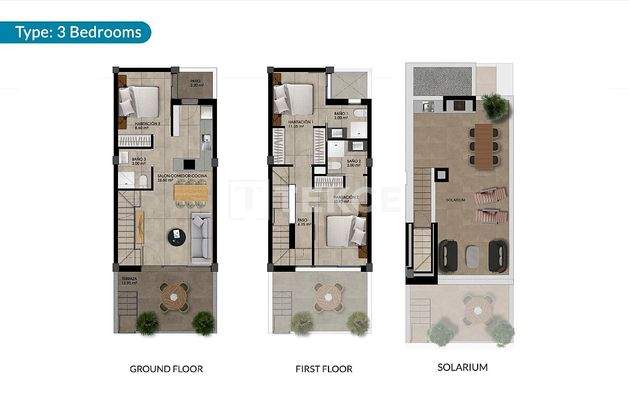 Contemporary Townhouses with Rooftop Solariums in Dolores