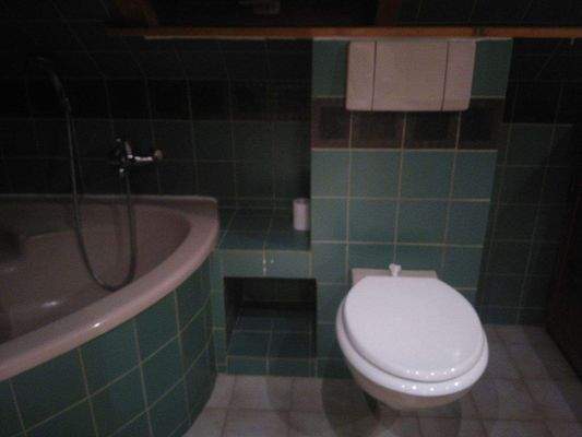 Badezimmer mit Eck-Badewanne und Dusche.jpg