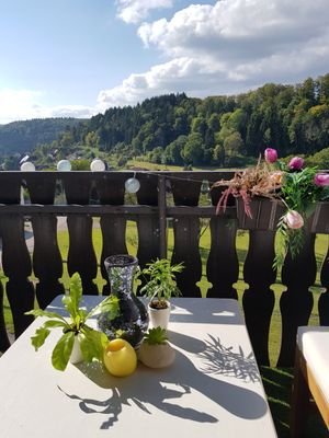 Dillendorf (17)