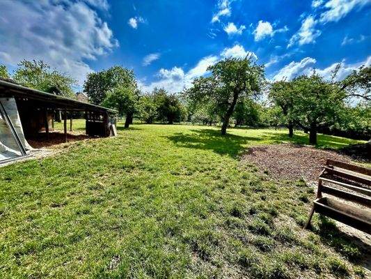 von der Halle, Blick in den Garten