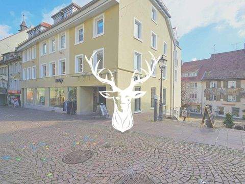 Waldshut-Tiengen Ladenlokale, Ladenflächen 