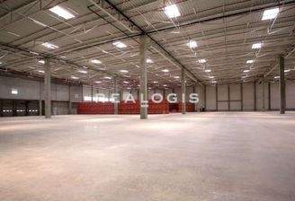 Halle online ohne Banner