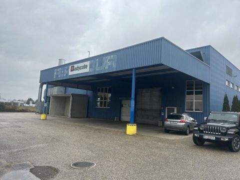 Marchtrenk Halle, Marchtrenk Hallenfläche