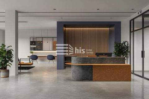 Nürnberg Büros, Büroräume, Büroflächen 