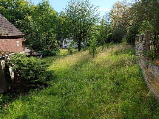 vorderer Grundstücksteil