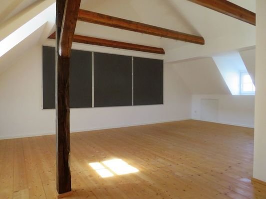 DG Studio 