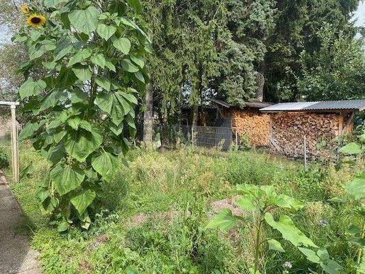 Blick in das Grundstück