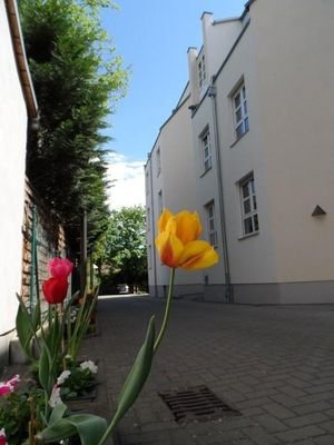 Ansicht