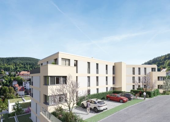 Haus-12-Eingang-Bad-Wildbad-WHaus