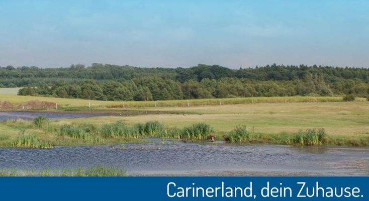 Carinerland.jpg
