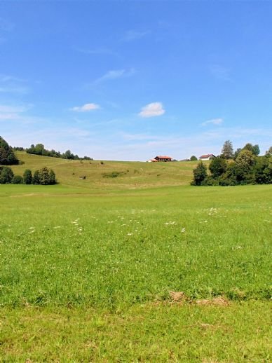 Landwirtschaftsfläche in Grammelkam