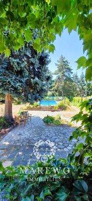 Blick in den Garten mit Pool