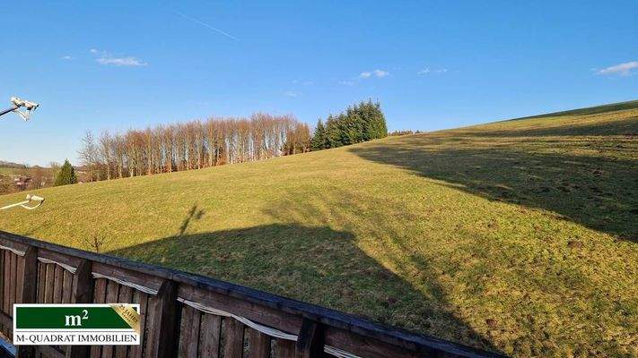 Blick vom Balkon 2 OG