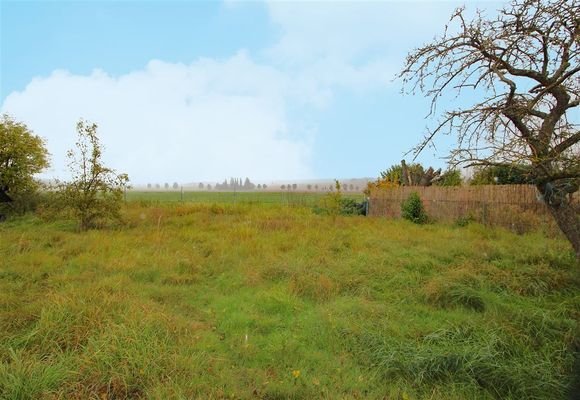 Blick vom Grundstück Richtung Feld