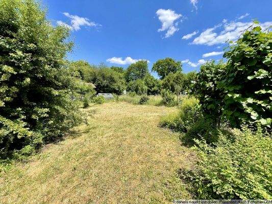 Teil vom Grundstück mit Gewächshaus