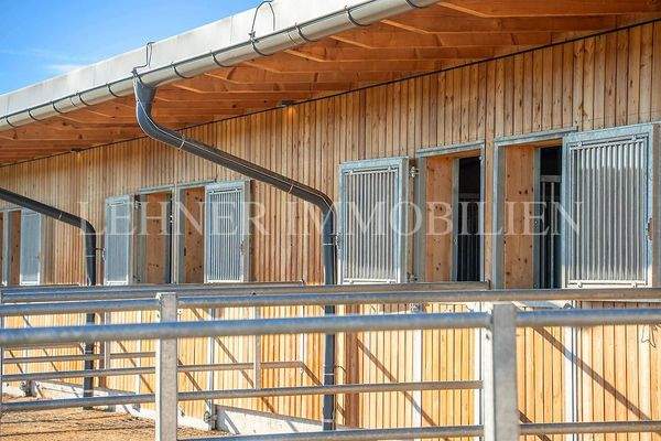 Lehner Immobilien Bild 87